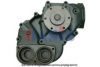 AKS DASIS 770060T Water Pump